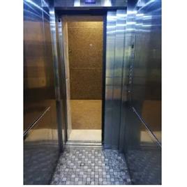 Commercial Ss Passenger Elevator