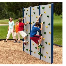 Conical Wall Climber, Color: Multicolour