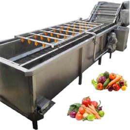 Conveyor Type Washing Machine Vegetable