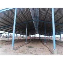 Cow Dairy Farm Shed In Ghaziabad Kohli Enterprises