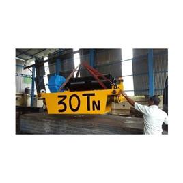 Crab Hoist Crane, Chain Length: 8-10 m