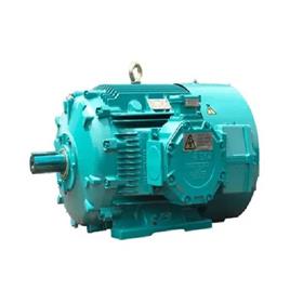 Crompton Greaves Flameproof Motor In Jaipur Agrani Sales Corporation, IP degree of protection: IP55