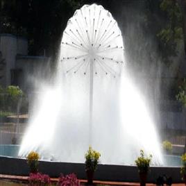 Dandelion With Mist Fountain In Delhi Aqua Fountain Pool