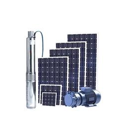 Dc Solar Pump In Pali Kisan Brothers, Pump Type: DC