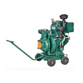 Diesel Engine Pumpset In Pali Kisan Brothers, RPM Stroke: 85 mm