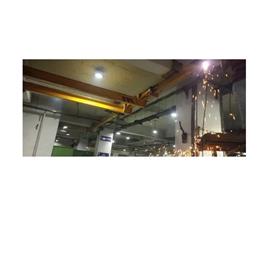 Double Girder Eot Overhead Cranes, Girder Type: Double