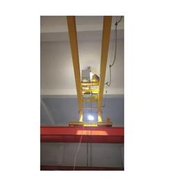 Double Grinder Eot Crane