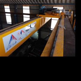 Double Yellow Eot Crane