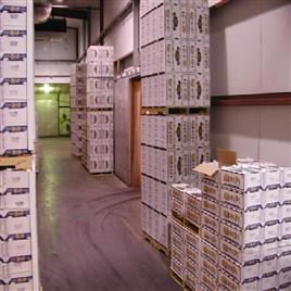 Dry Fruit Cold Storage Room