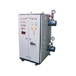 Electric 1 Tph Steam Boiler, Machine Type: Automatic