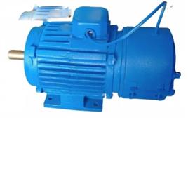 Electric Motor With Brake, Frequency: 50 HZ