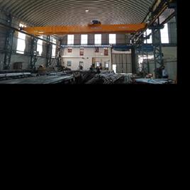 Electric Overhead Crane 2