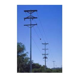 Electric Poles, Minimum Order Quantity: 10