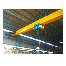 Electric Wire Rope Hoist 11
