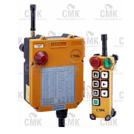 F24 6D Radio Remote Controls, Model Name/Number: F24-6D