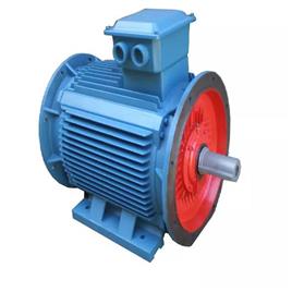 Flange Motors