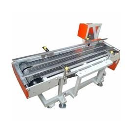 Flat Top Chain Conveyor 2