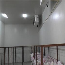 Flower Cold Rooms