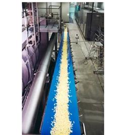 Food Grade Belt Conveyor, Glide Distance: 300 mm