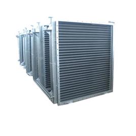 Food Heat Exchanger