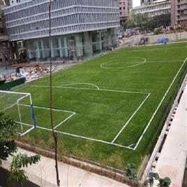 Football Turf Grass In Suburban Artzz Fuzion