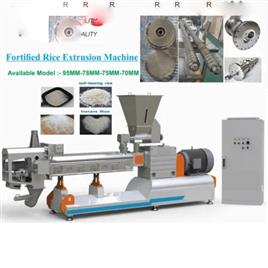 Fortified Rice Extrusion Line In Noida Botics Industries Private Limited