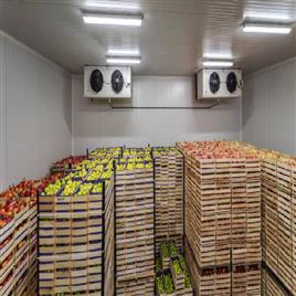 Fruit Cold Storage In Kancheepuram Unicool Technologies