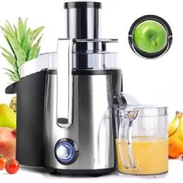 Fruit Juicer