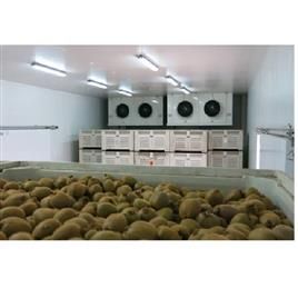 Fruit Ripening Chamber In Faridabad Airtech Cooling Process Private Limited