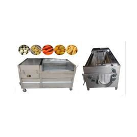 Fruit Vegetable Washer In Ghaziabad A A Marketing India