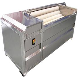 Fruits And Vegetable Washing And Peeling Machine, Capacity(Kg/h): 200-400 Kg/ Hr