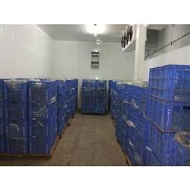 Fruits Cold Storage Rooms