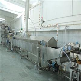Fully Automatic Potato Chips Plant 2, Country of Origin: Made in India