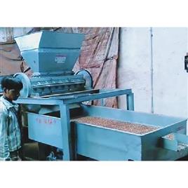 Fully Automatic Supari Cutting Machine, Motor Power: 5 HP