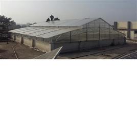 Garden Polycarbonate Shed, Built Type: Modular