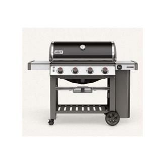 Gas Grill E 410 2