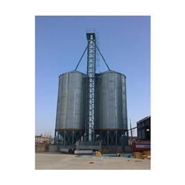 Grain Storage System