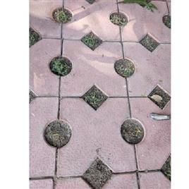 Grass Paver 10Mm, Thickness: 80mm