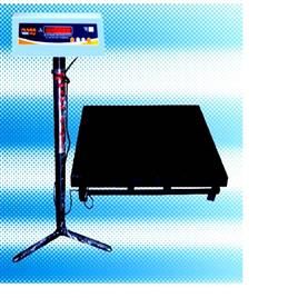 Heavy Duty Platform Scale Platform