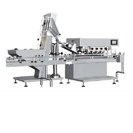 High Speed Linear Ss Capping Machine, Packaging Material: Wooden Packing Only