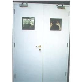 Hmps Steel Door, Type: Hinged