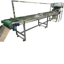 Industrial Cashew Inspection Conveyor, Belt Width: 30inch