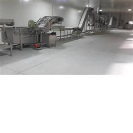 Iqf Frozen Vegetable And Fruit Processing Plant