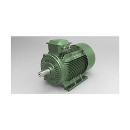 5 Hp 3000 Rpm Le4 Super Premium Efficiency Series Pmsm Motor - Efficacy: Ie4