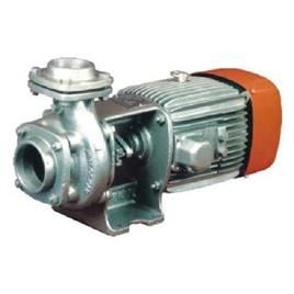 Kirloskar Horizontal Pumps