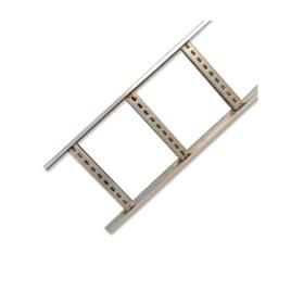 Ladder Type Stainless Steel Cable Tray, Corrosion Resistance: Yes