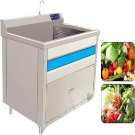 Leafy Vegetable Fruits Washing Machine, Capacity: 100-250 Kg/Hr