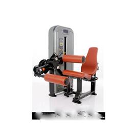 Leg Curl Leg Extension Machine