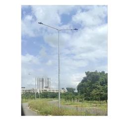 Lightning Protection Pole, Pole Type: Dual-Arm