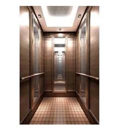 Luxury Elevator Cabin, Material: Stainless Steel